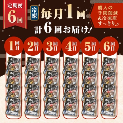 【全6回定期便】黒毛姫牛贅沢旨味 牛丼の具(4食分)　K258-T08_04a