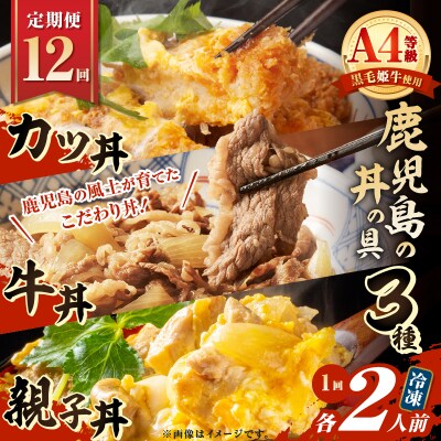 【全12回定期便】鹿児島の丼の具3種セット(2人前)　K258-T05_02c