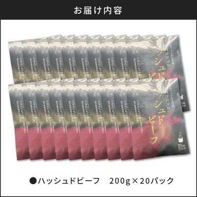 【7営業日以内に発送】【洋食グリル肝付】ハッシュドビーフ 20パック　K084-008_06