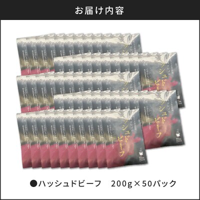 【7営業日以内に発送】【洋食グリル肝付】ハッシュドビーフ 50パック　K084-008_07