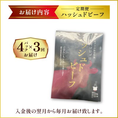 【洋食グリル肝付】定期便 ハッシュドビーフ 4パック×3回　K084-T07
