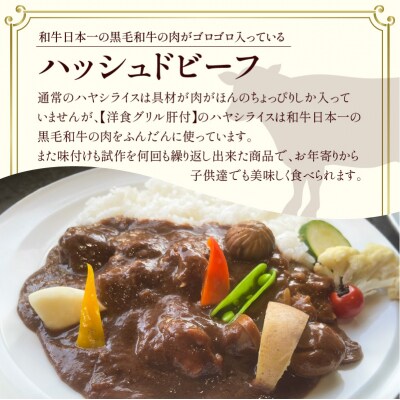 【洋食グリル肝付】定期便 ハッシュドビーフ 4パック×12回　K084-T09