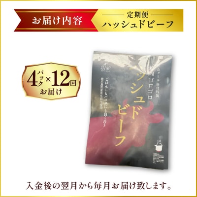 【洋食グリル肝付】定期便 ハッシュドビーフ 4パック×12回　K084-T09