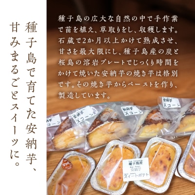 種子島産安納芋スコーン&スイートポテトセット　K366-002