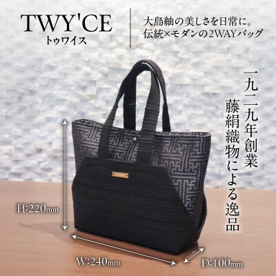大島紬締め織りコンビバッグ「TWY'CE」シルバー　K054-009_02