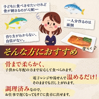 【 期間限定 生活応援 】煮魚12袋セット　K385-001_01