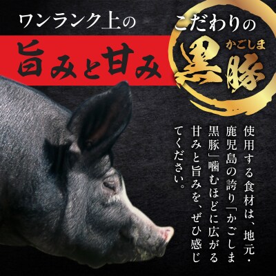 かごしま黒豚 ホルモンセット4人前 (2×2セット)　K378-001_02