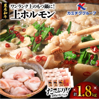 ワンランク上のもつ鍋に!小腸1.8kg(200g×9パック)　K002-004_03
