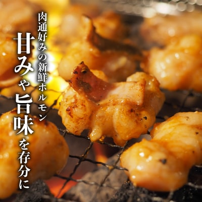 ワンランク上のもつ鍋に!小腸1.8kg(200g×9パック)　K002-004_03