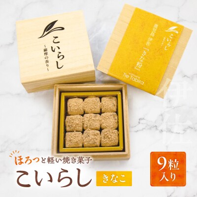 こいらし(きなこ)　K300-010_02