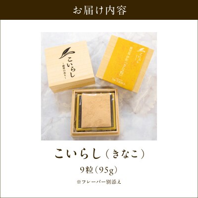 こいらし(きなこ)　K300-010_02