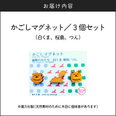 かごしマグネット 3個セット(白くま、桜島、つん)　K391-003_01