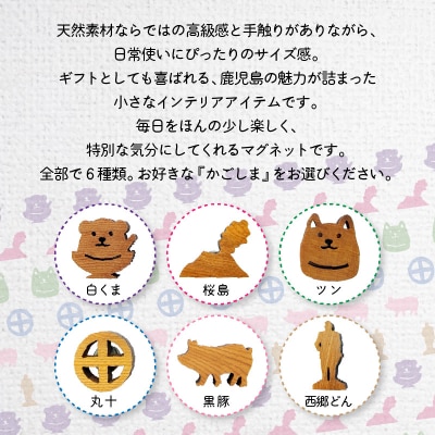 かごしマグネット 3個セット(丸十、桜島、黒豚)　K391-003_02