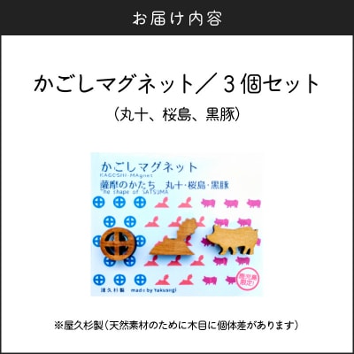かごしマグネット 3個セット(丸十、桜島、黒豚)　K391-003_02