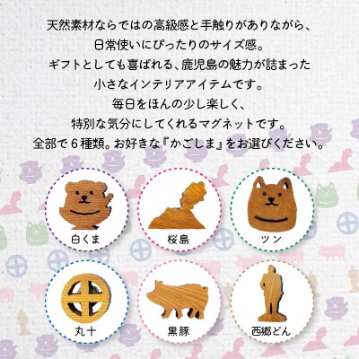 かごしマグネット 5個セット　K391-004