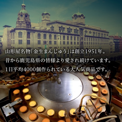 金生饅頭 20個入　K326-002