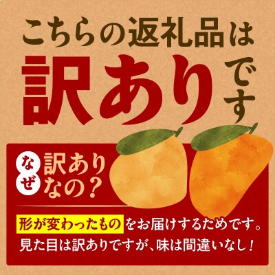 旬の朝採り! 鹿児島 桜島産びわ 2箱(訳あり品)　K343-002_02