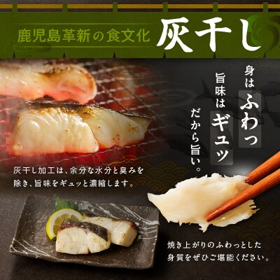 桜島灰干しかんぱち お試しセット　K255-001_01