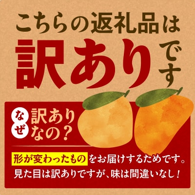 旬の朝採り! 鹿児島 桜島産びわ 3箱(訳あり品)　K343-002_03