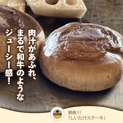 鹿児島原木生しいたけ 約500g　K205-001