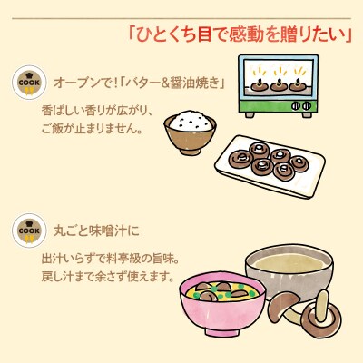 鹿児島原木生しいたけ 約500g　K205-001