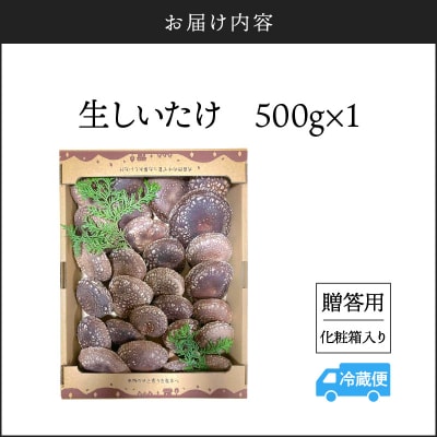 鹿児島原木生しいたけ 約500g　K205-001