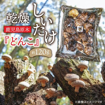 鹿児島原木乾燥しいたけ『どんこ』 約120g　K205-002