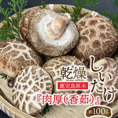 鹿児島原木乾燥しいたけ『肉厚(香茹)』 約100g　K205-003