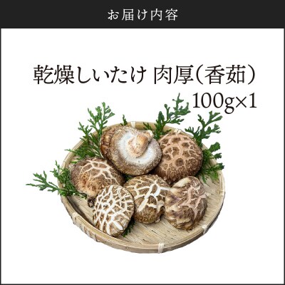 鹿児島原木乾燥しいたけ『肉厚(香茹)』 約100g　K205-003