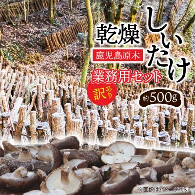 鹿児島原木乾燥しいたけ〈訳あり〉お得セット 約500g　K205-004