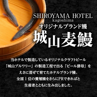 SHIROYAMA HOTEL kagoshima 城山麦鰻　K096-007
