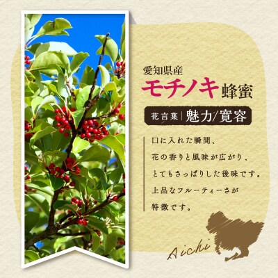 【5営業日以内に発送】モチノキの蜂蜜酒meadolミードル-甘口100ml　K105-004_02k