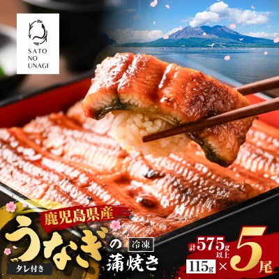 鹿児島県産うなぎ蒲焼 115g×5尾 575g以上　K379-001_02