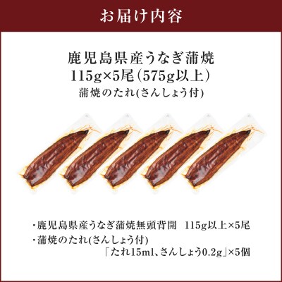 鹿児島県産うなぎ蒲焼 115g×5尾 575g以上　K379-001_02