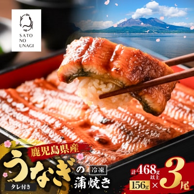 鹿児島県産うなぎ蒲焼 156g×3尾 468g以上　K379-002_01