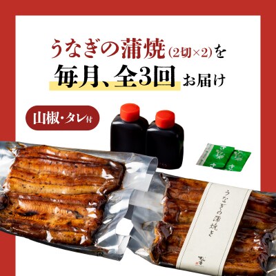 【全3回定期便】うなぎ料理専門店「松重」並/うなぎ蒲焼2切(1尾)×2パック　K019-T02_a