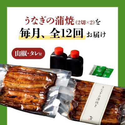 【全12回定期便】うなぎ料理専門店「松重」並/うなぎ蒲焼2切(1尾)×2パック　K019-T02_c