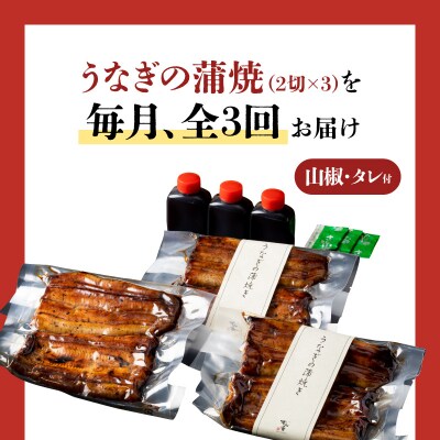 【全3回定期便】うなぎ料理専門店「松重」並/うなぎ蒲焼2切(1尾)×3パック　K019-T03_a