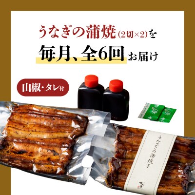 【全6回定期便】うなぎ料理専門店「松重」上/うなぎ蒲焼2切(1尾)×2パック　K019-T06_b