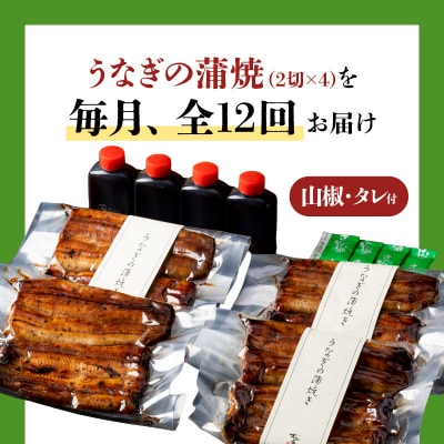 【全12回定期便】うなぎ料理専門店「松重」上/うなぎ蒲焼2切(1尾)×4パック　K019-T08_c