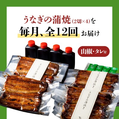 【全12回定期便】うなぎ料理専門店「松重」並/うなぎ蒲焼2切(1尾)×4パック　K019-T04_c
