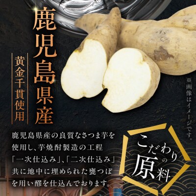 天無双 芋焼酎 25度 720ml×2本　K377-007_01