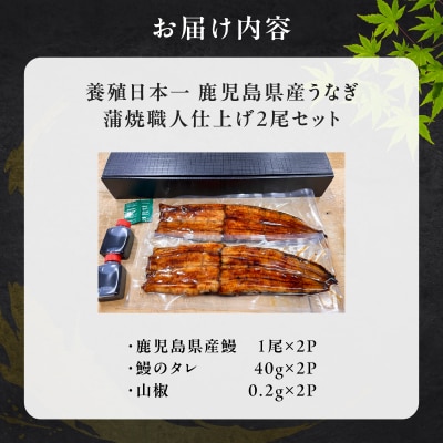 養殖日本一鹿児島県産うなぎ蒲焼職人仕上げ2尾セット　K399-001