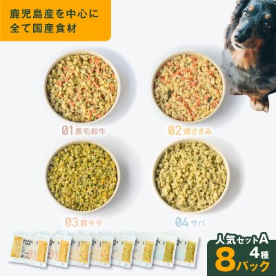 Buddy FOOD 人気セットA 4種8パック　K390-003_01
