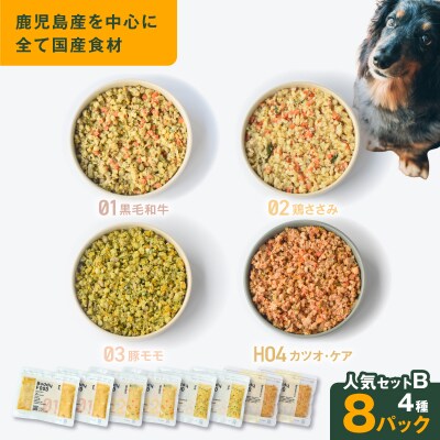 Buddy FOOD 人気セットB 4種8パック　K390-003_02