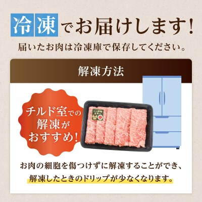 (KH-401)鹿児島黒牛サーロイン焼きしゃぶセット(計500g)　K127-018_01