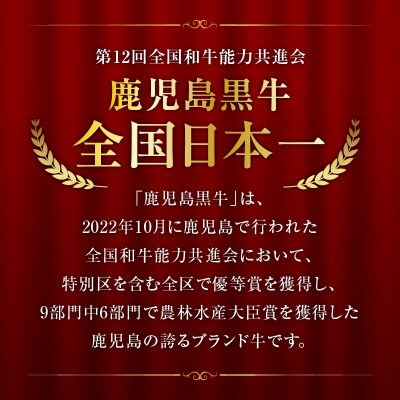 (KH-501)鹿児島黒牛サーロイン焼きしゃぶセット(計1kg)　K127-018_02
