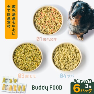 Buddy FOOD 人気セットB 3種6パック(黒毛和牛、豚モモ、サバ)　K390-001_12