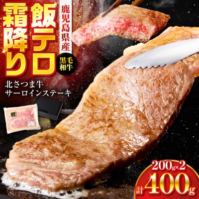 北さつま牛サーロインステーキ　K137-004