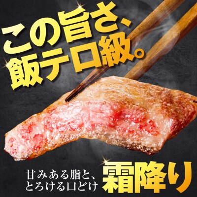 北さつま牛サーロインステーキ　K137-004